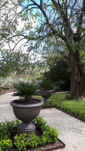 Large terracotta planter in garden